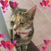 Profile Picture of Stefanie Steele (@stefanie.steele.750) on Facebook