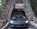 Profile Picture of Leggett, California - Wikipediaon Wikipedia