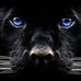 Profile Picture of Kyle Brandon Adams (@kyle.b.adams.3) on Facebook