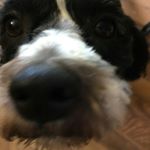 Profile Picture of miranda reid (@mirandareid4) on Instagram