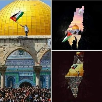 Profile Picture of Gehan Elsayed (@GehanEl41504725) on Twitter