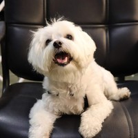 Profile Picture of Maria Decastro (@maria-decastro-3) on Quora