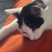 Profile Picture of Deger (@deger-mh1ec) on Youtube