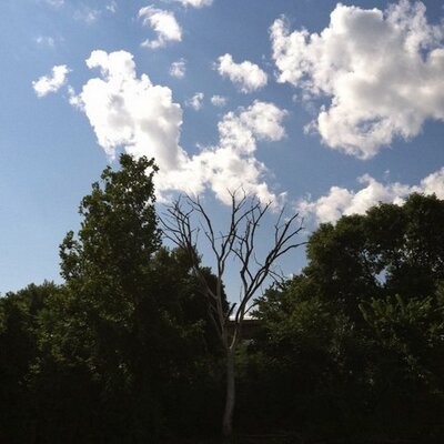 Profile Picture of Jim_Kehrer (@Jim_Kehrer) on Twitter