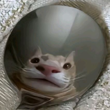 Profile Picture of ConnorP (@connorlp) on Tiktok