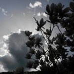 Profile Picture of Michael Leitner (@michael_lei119) on Instagram