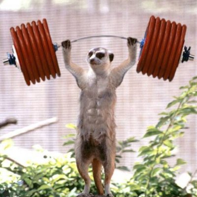 Profile Picture of Michael Lugrain (@lugrain_michael) on Twitter