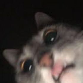 Profile Picture of Maria martha Valderrama polo (@mariamarthavalderramapolo) on Pinterest