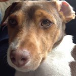 Profile Picture of Kevin William Wardle (@kaydoubleyou66) on Instagram