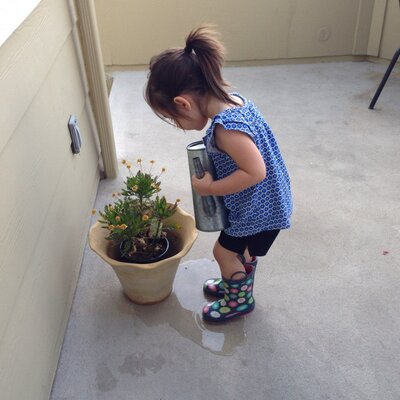 Profile Picture of Shellyprather (@shelly_prather) on Twitter