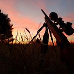 Profile Picture of Brandon (@brandon_fess) on Instagram