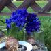 Profile Picture of Sandra Saxton (@sandrasaxton) on Pinterest