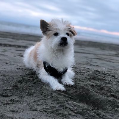 Profile Picture of Jason Tijsseling (@JTijsseling) on Twitter