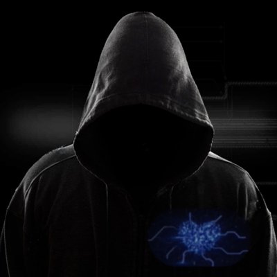 Profile Picture of Charity Hacker (@@ihackcharities) on Twitter