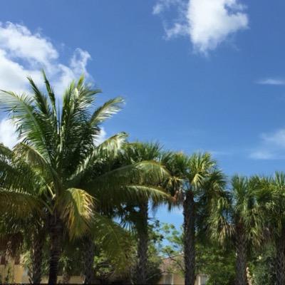 Profile Picture of Jim Bigelow (@bigelow_jim) on Twitter