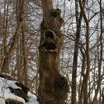 Profile Picture of Erik Jacques Wiborg (@erik_wiborg) on Instagram