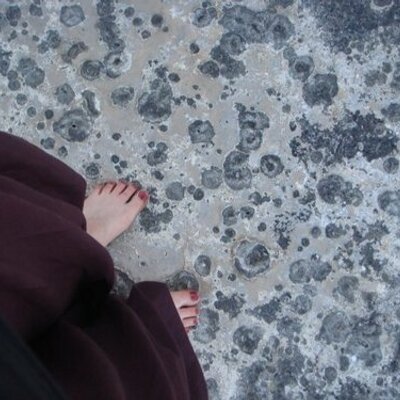 Tanya Wren - Twitter Profile Picture of Tanya Wren (@tanwren) on Twitter