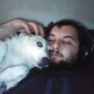 Profile Picture of Sheep KerrDunlop (@sean.kerrdunlop.9) on Facebook