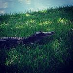 Profile Picture of Tyler Earnest WC (@white_chocolate77777) on Instagram