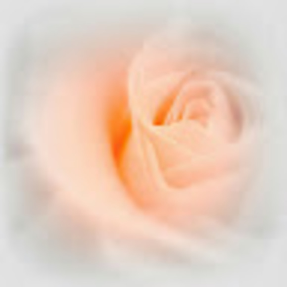 Profile Picture of Harshali Mahajan (@harshalimaha146) on Poshmark