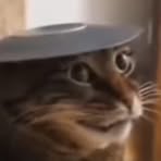 Profile Picture of Bell Liu (@bell.liu.2025) on Facebook