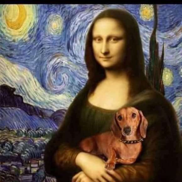 Jan Mcelvany - Poshmark Profile Picture of Jan Mcelvany (@janicemcelvany) on Poshmark