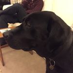 Profile Picture of Sally Phillips (@fernsallylp) on Instagram