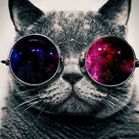 Profile Picture of Alex Vandamme (@alexvandamme91) on Pinterest