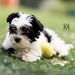 Profile Picture of Ernestine Hammer (@ernestinehammer) on Pinterest