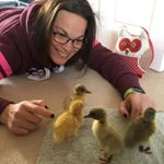 Profile Picture of Lisa walpole (@lisawalpole) on Instagram
