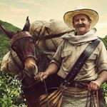 Profile Picture of guillermo posada (@posada306) on Instagram