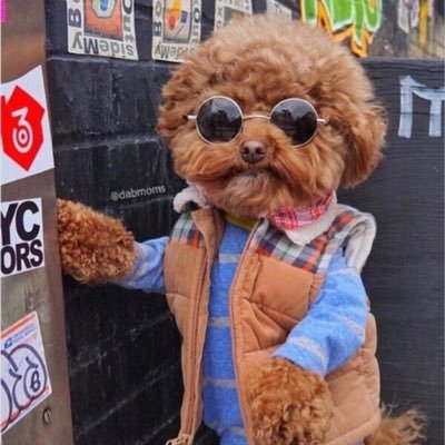 Profile Picture of Kevin Mementowski (@Kid_Hudi_2) on Twitter