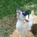 Profile Picture of Joseph Thomas (@ms.hildreth420) on Instagram