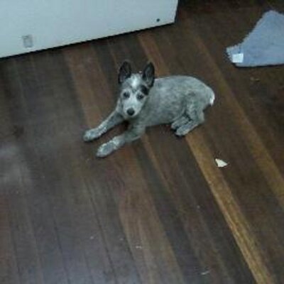 Profile Picture of Trevor Mcconnell (@trevormcconnel4) on Twitter