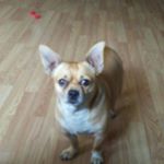 Profile Picture of Joseph Mcabee (@mcabeejoseph) on Instagram