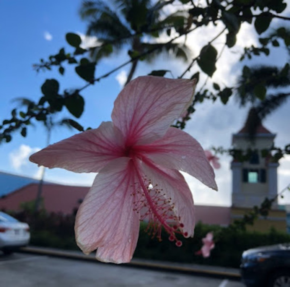 Profile Picture of Megan Toering (@mtoering12) on Poshmark