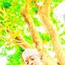 Profile Picture of Adam A Barde (@adam.abarde.1) on Facebook