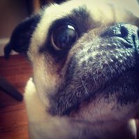 Profile Picture of Comet James (@cometjames94) on Pinterest