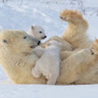 Profile Picture of Hannah Simmonds (@hannah-simmonds-21) on Quora