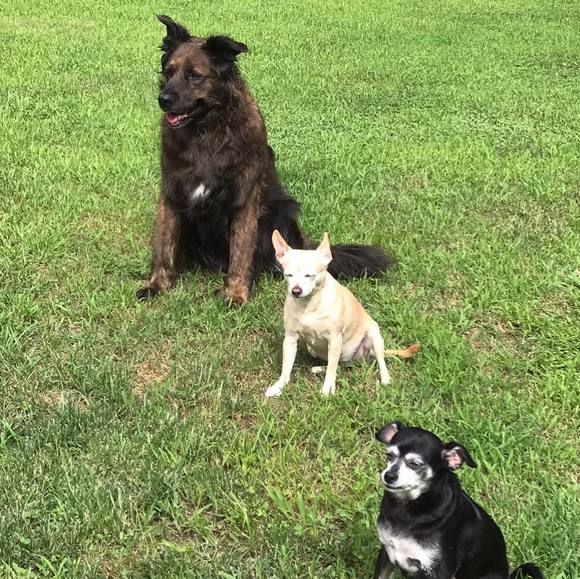 Kathleen Ednie - Poshmark Profile Picture of Kathleen Ednie (@kednie) on Poshmark