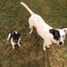 Profile Picture of Shirley Wade (@shirley.wade.92505) on Facebook