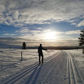 Profile Picture of Marko Hiltula (@hilt_mark) on Instagram