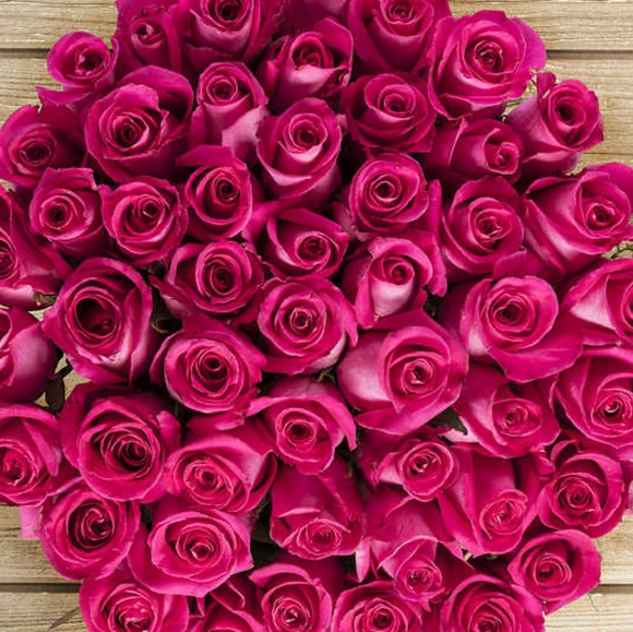 Profile Picture of Lorissa Bingham (@lorissa583) on Poshmark