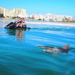 Profile Picture of Lisa Gerstenacker (@lisagrest) on Instagram