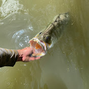 Profile Picture of Alex Tilley (@__alextilley) on Youtube