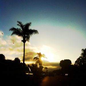 Profile Picture of Sahar Miakhil (@so_ho) on Myspace