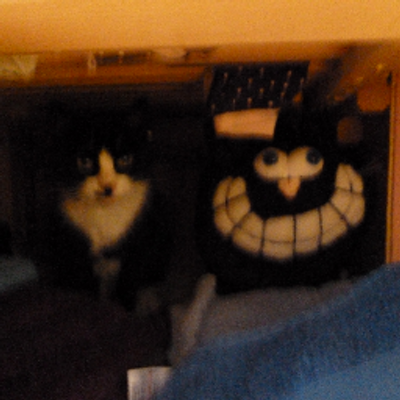 Profile Picture of Jake Dodd (@jakedodd2) on Twitter