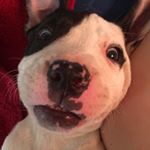 Profile Picture of Manny Rodriguez (@mannyrodriguez5141) on Instagram