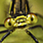 Profile Picture of Ian Bentley (@I.B. 123) on Flickr