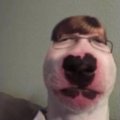 Profile Picture of Carson Dog (@HarveyReid14) on Twitter
